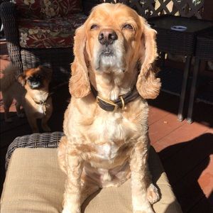 Meet your Posher, Greg